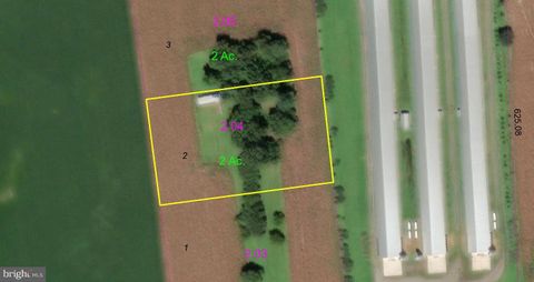 Vacant Land For Sale - LOT 2 Seashore Highway<br/> BRIDGEVILLE, DE 19933