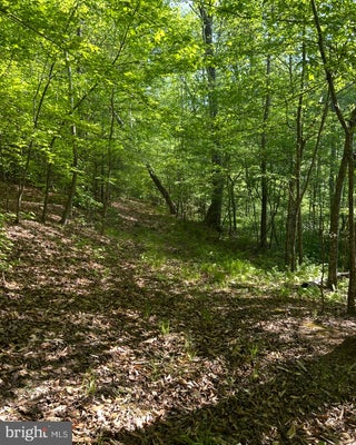 1 WALLACE ST, WARSAW, VA 22572 - Image ab09ebd5b1758f799c19d8a1df88a4ea/2725134057