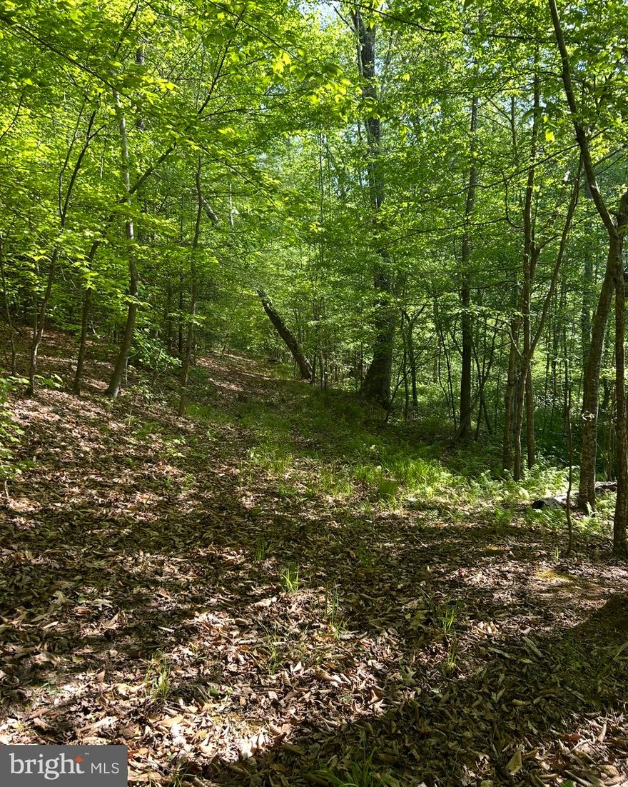 Don’t miss this exceptional opportunity to acquire Lot 1 on Wallace Street, offering 0.37 acres just minutes from downtown Warsaw. This prime lot is conveniently located near local shops, parks, and scenic walking trails, perfect for leisurely afternoons or family outings. The property is already surveyed, with utility hookups available, making it an ideal site for your dream home or as an investment in a rapidly developing area. With its proximity to essential amenities and outdoor recreation, this lot is truly a standout choice.