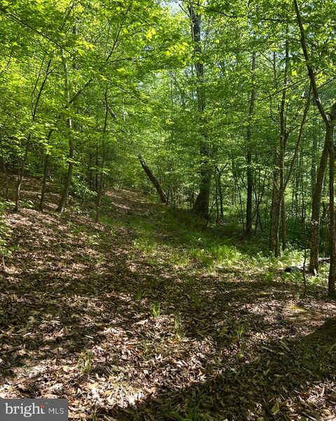 Vacant Land For Sale - LOT 1 Wallace Street<br/> WARSAW, VA 22572