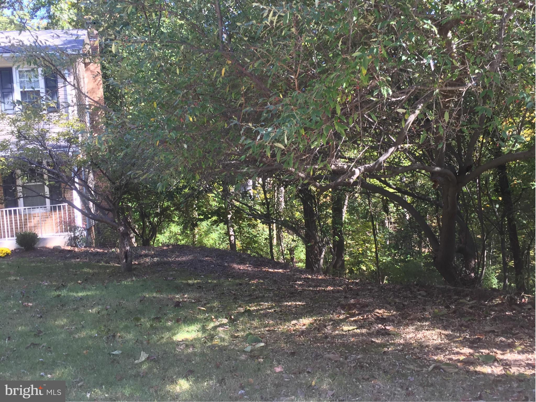 LAKE RIDGE - Residential Lease