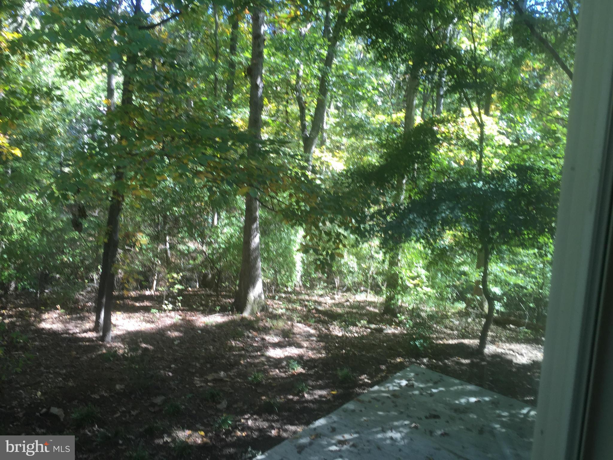 LAKE RIDGE - Residential Lease