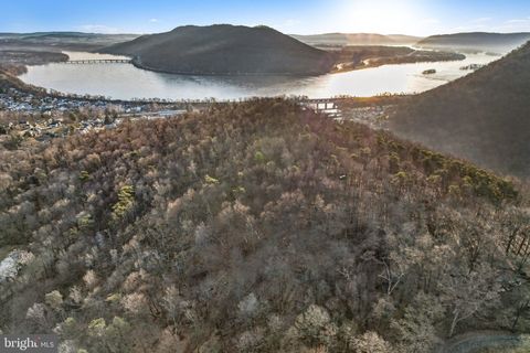 Vacant Land For Sale - 00 Pee Wee Lane<br/> DUNCANNON, PA 17020