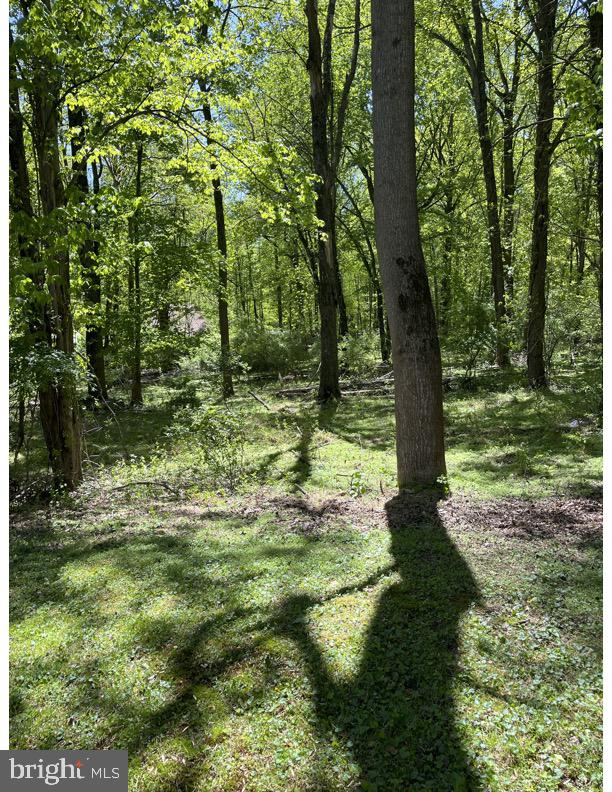 DOVER DOWNS - Residential