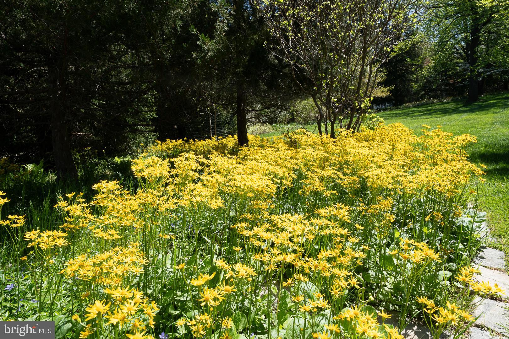 COLONIAL VIL - Residential