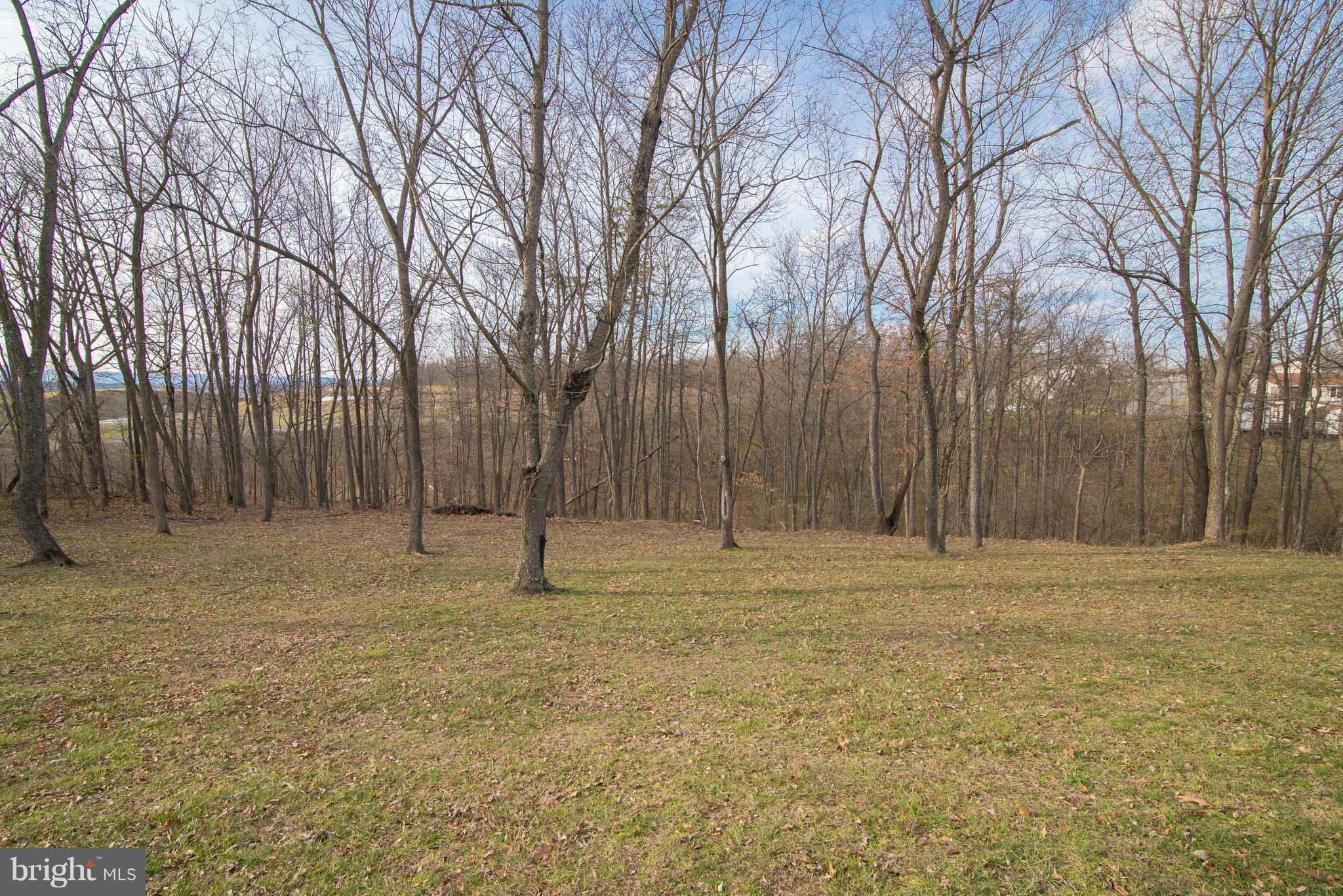 FAIRVIEW ORCHARD - Residential