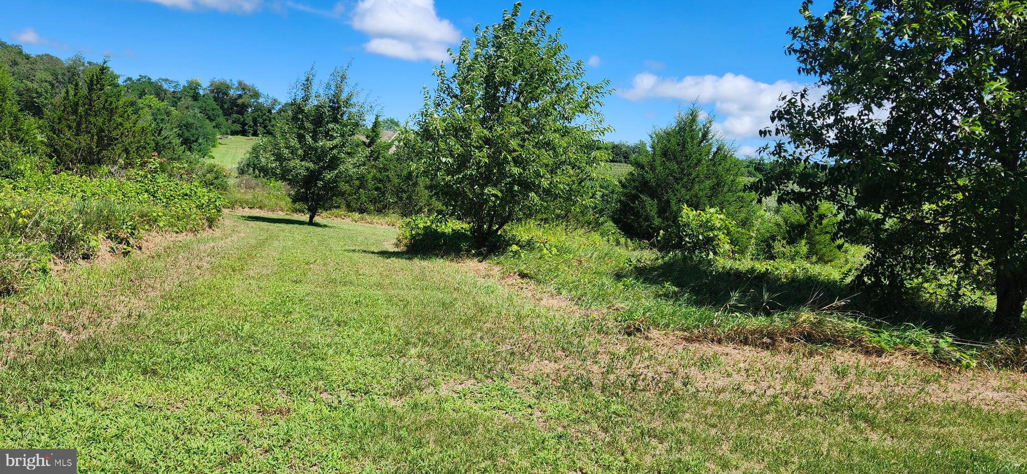 GROUND MOLE LANE LOT 5