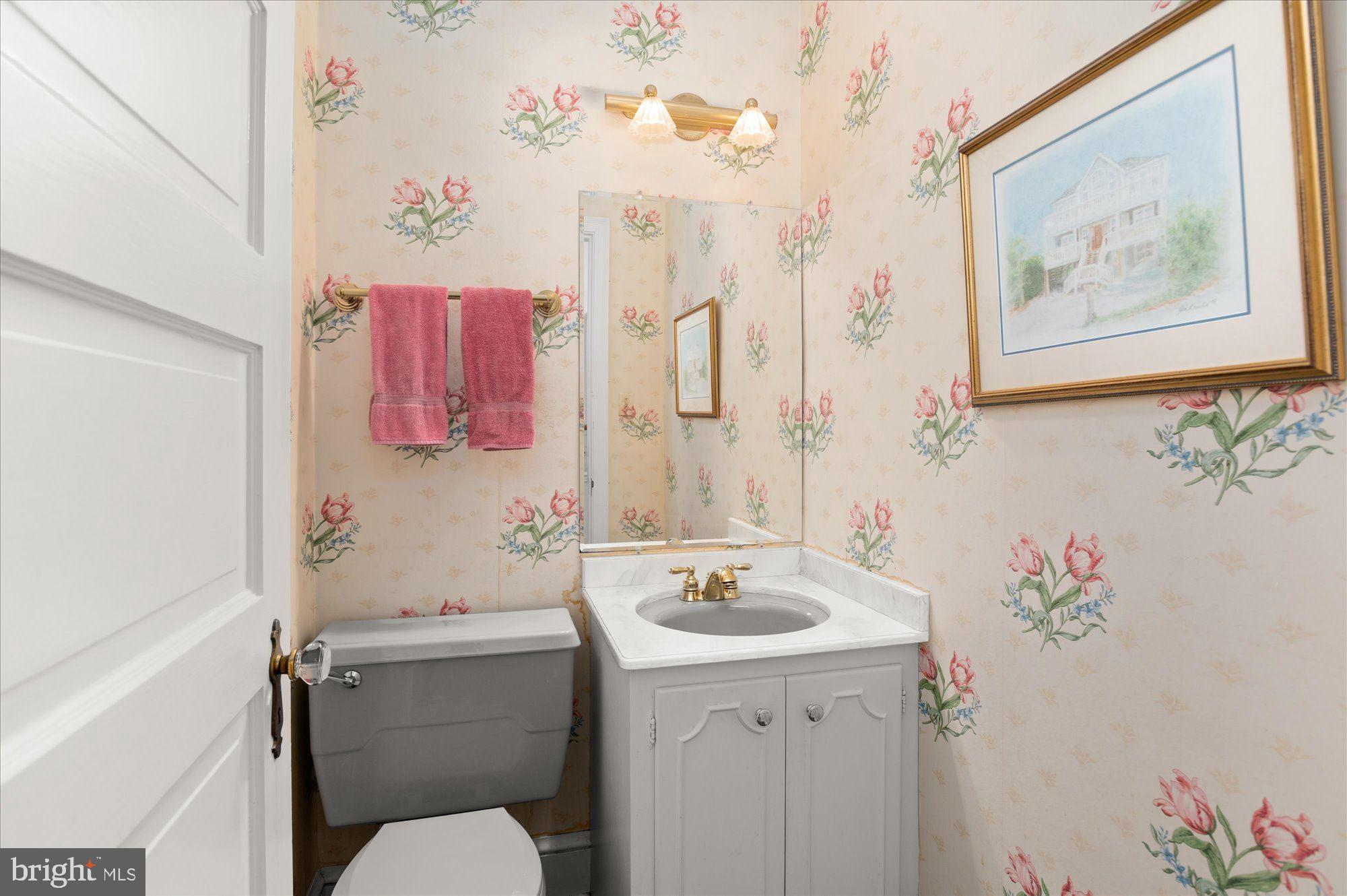 CHEVY CHASE VILLAGE - Residential