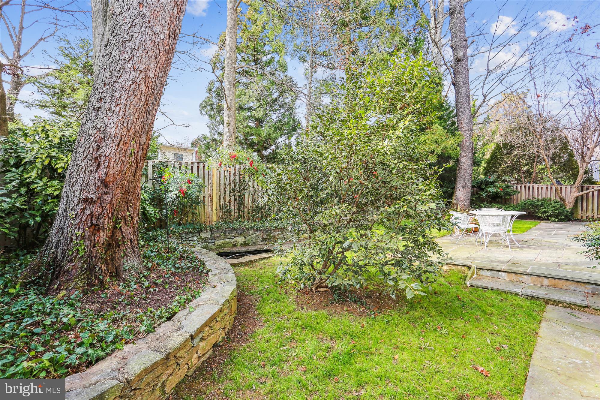 NORTH CHEVY CHASE - Residential