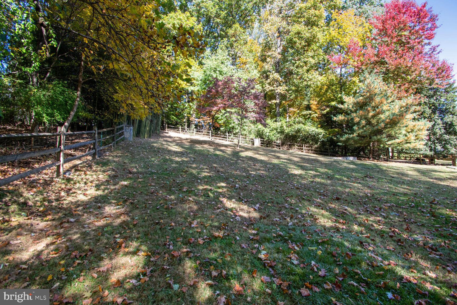 TILDEN WOODS - Residential