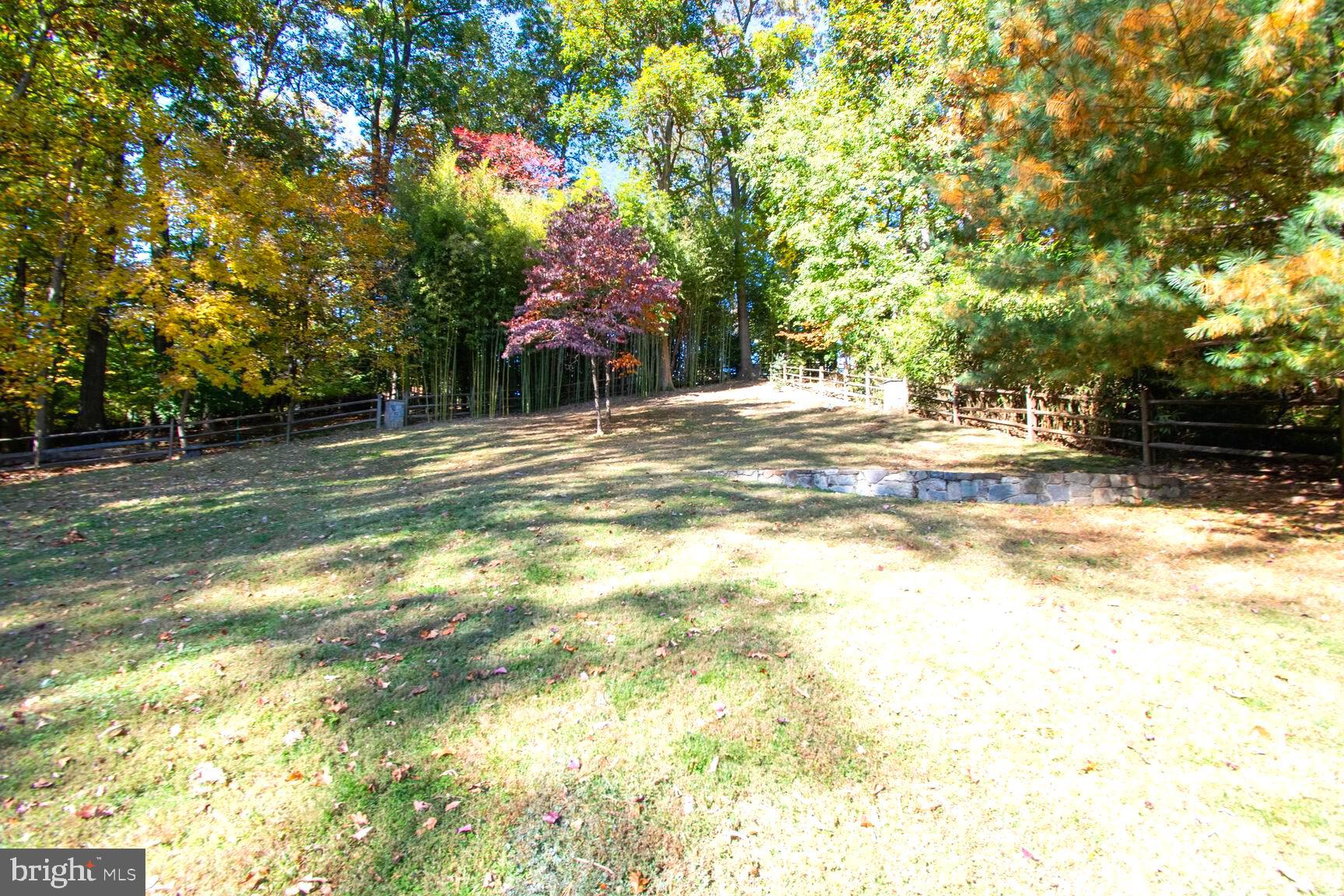 TILDEN WOODS - Residential