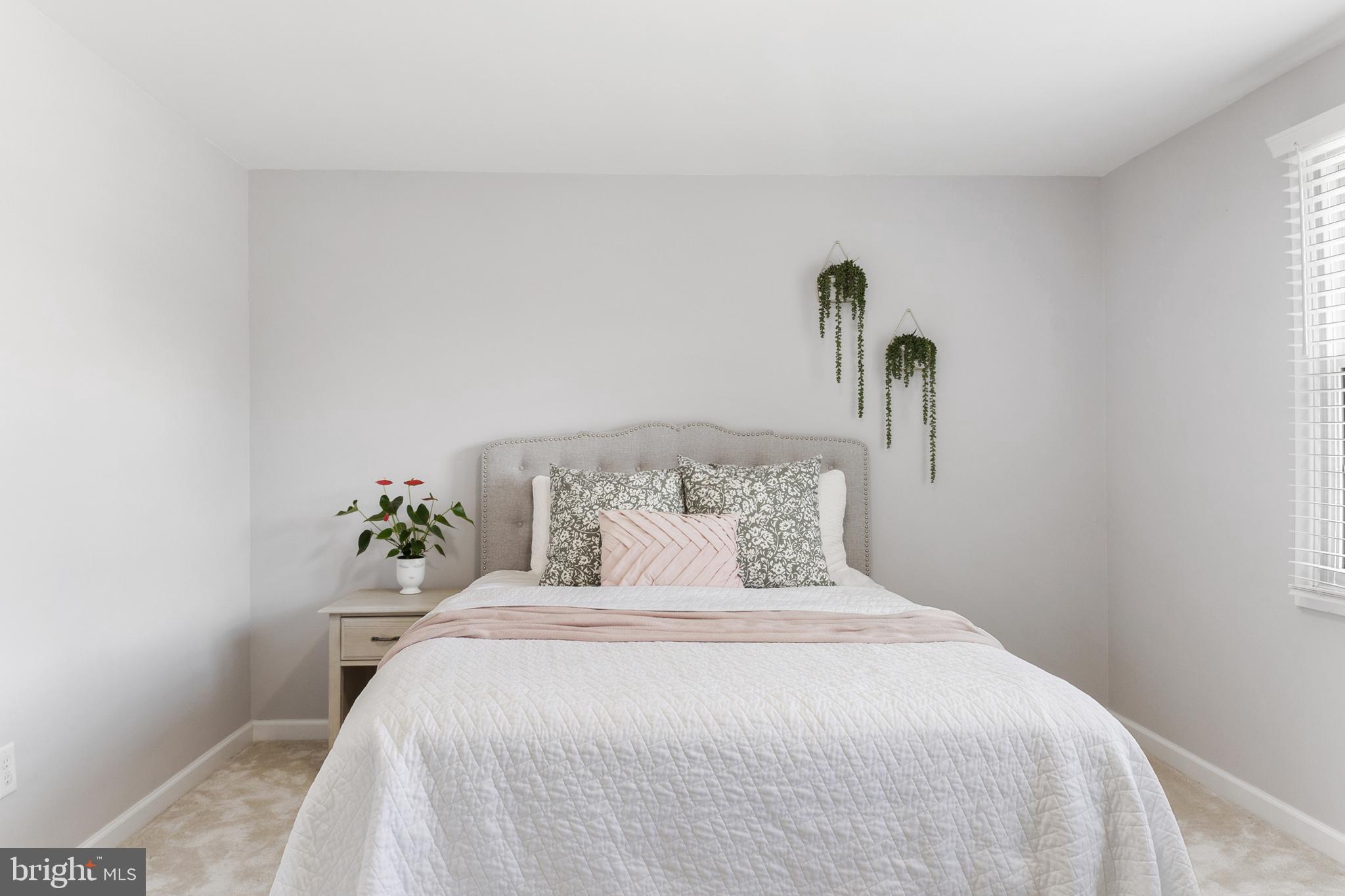 TULIP GROVE AT BELAIR - Residential