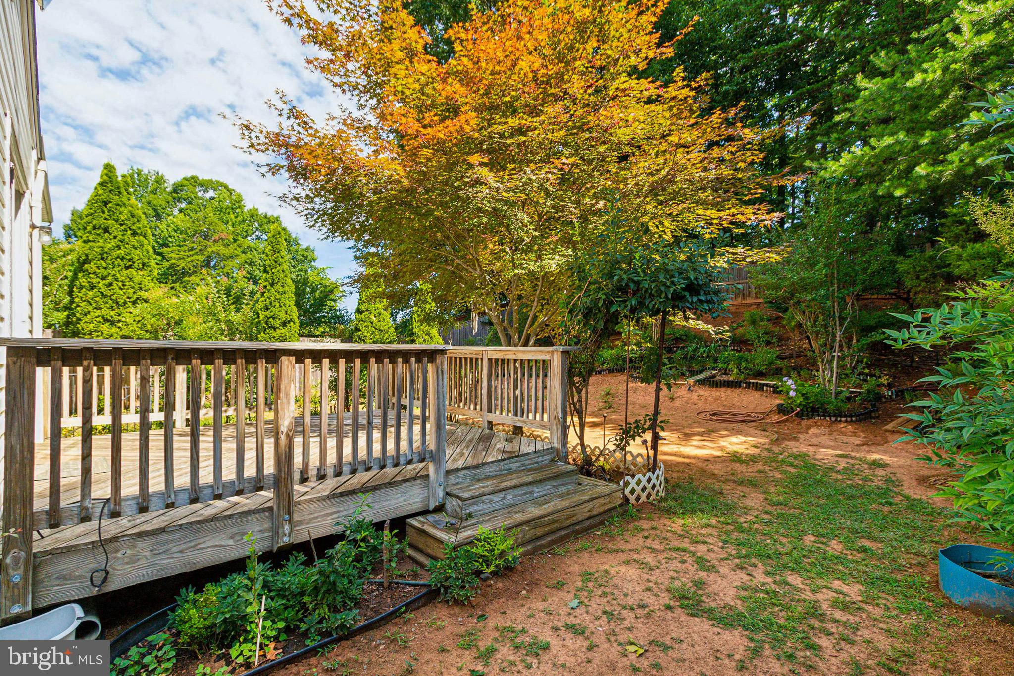 PARK RIDGE - Residential