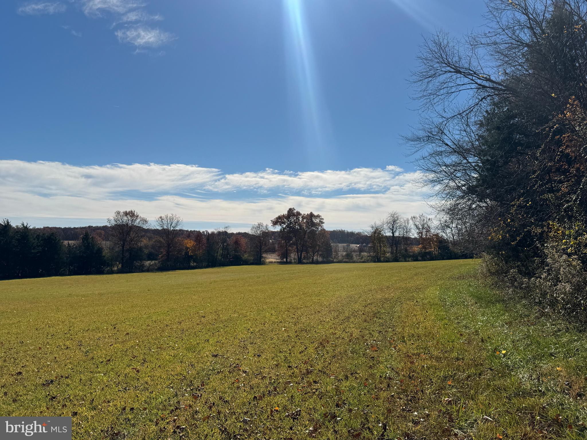 TRACT 3: 20.8+/- ACRES OLD HARRISBURG RD