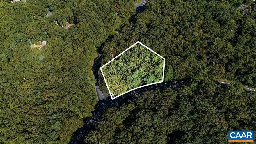 Spacious and well-shaped mountain lot located just a short drive from Wintergreen?s golf course, tennis courts, fine dining, and the Spa. The gentle, nearly flat terrain makes this an ideal and cost-effective homesite, offering an easier build than most lots on the mountain. There?s ample space to accommodate a garage?something that's often hard to find at Wintergreen due to the steep slopes and irregular shapes of many properties. This lot provides the perfect opportunity to invest now and build later, with no time restrictions on construction. A rare find at this price and a great chance to create your custom mountain retreat when the time is right.