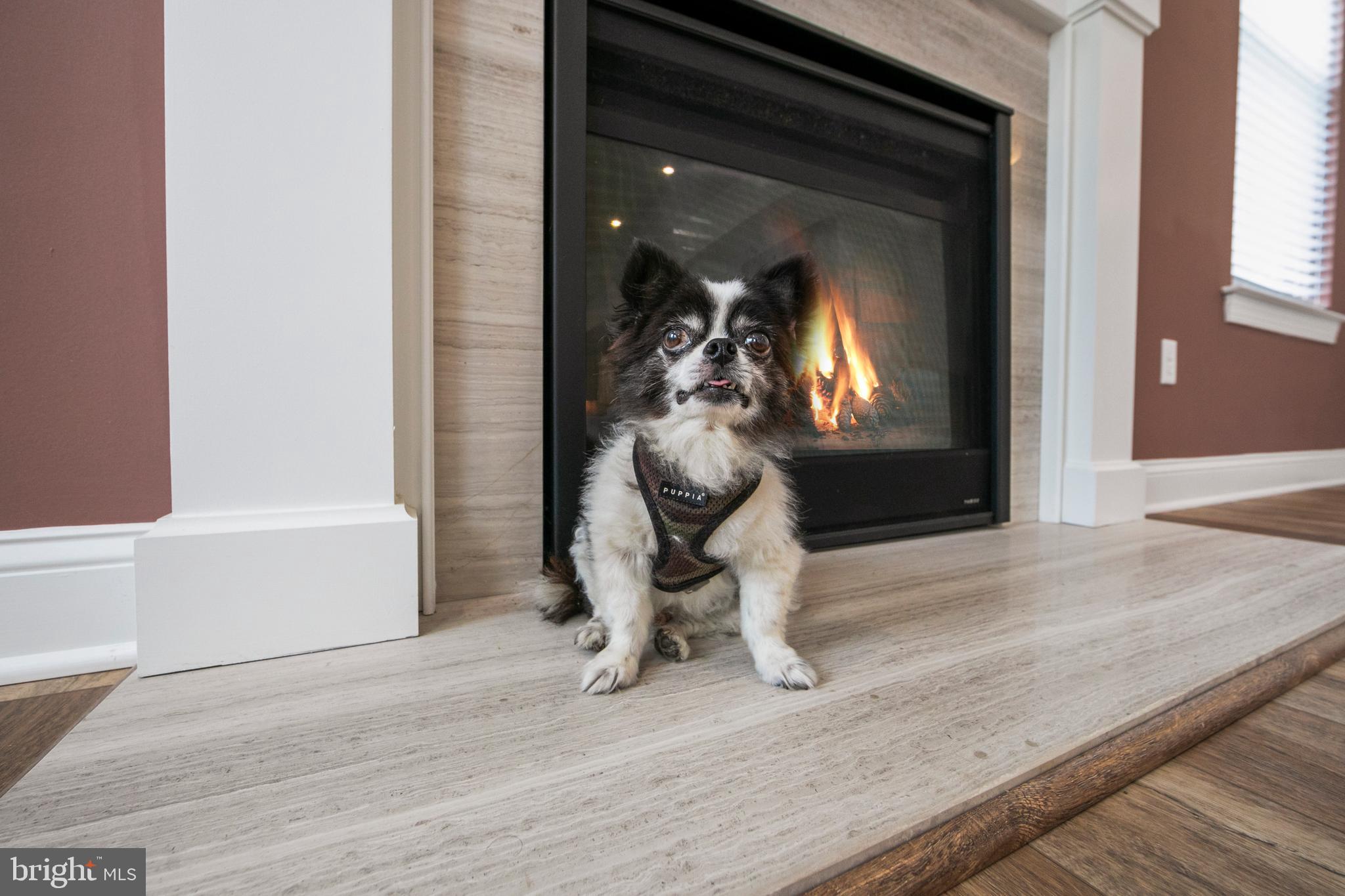 MEDFORD RUN - Residential