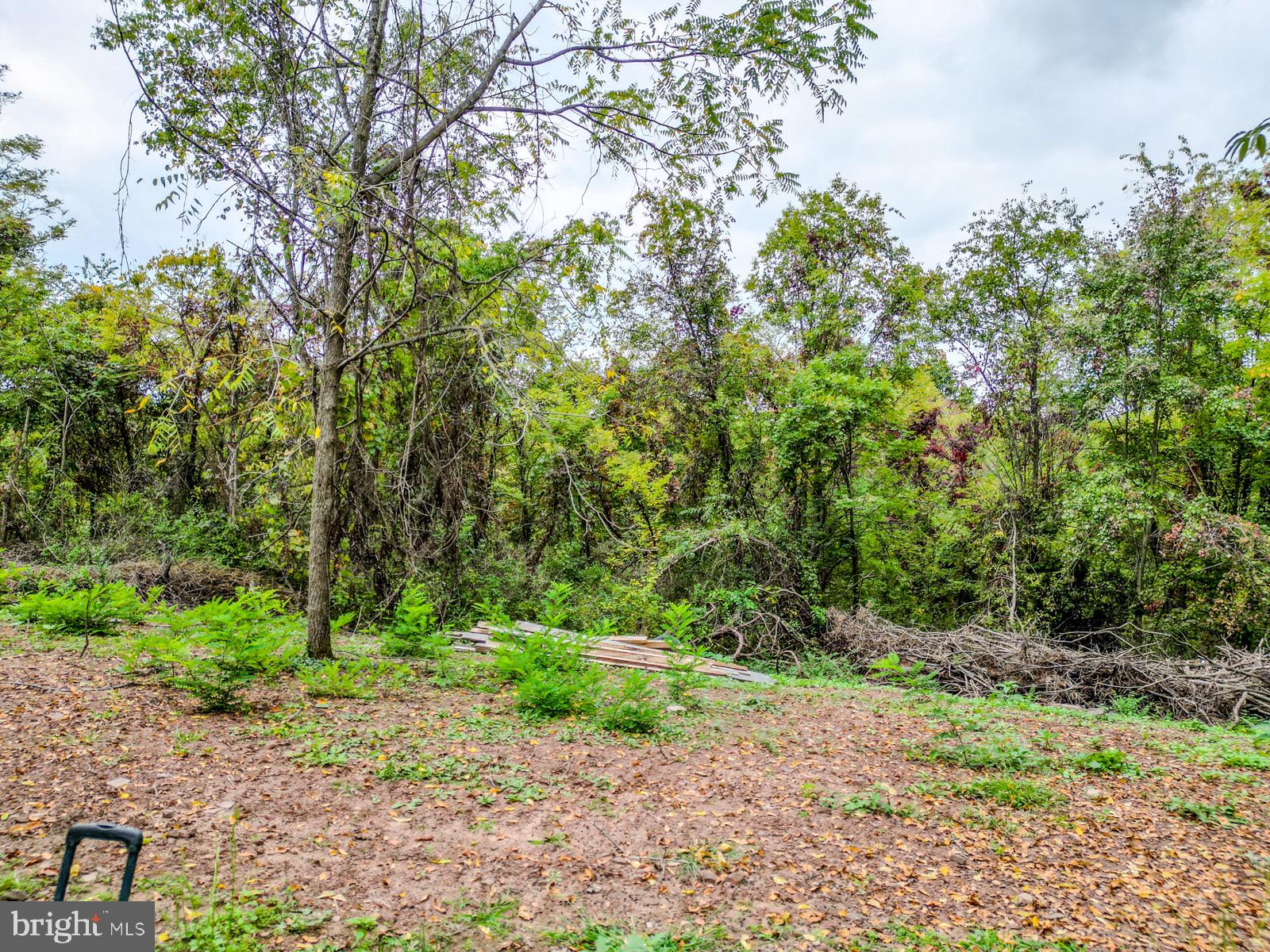 MILL MOUNTAIN ORCHARD - Land