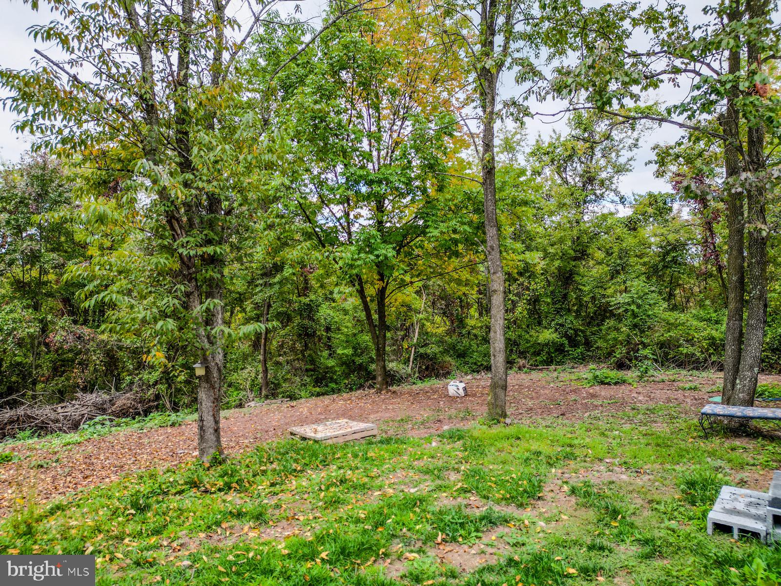 MILL MOUNTAIN ORCHARD - Land