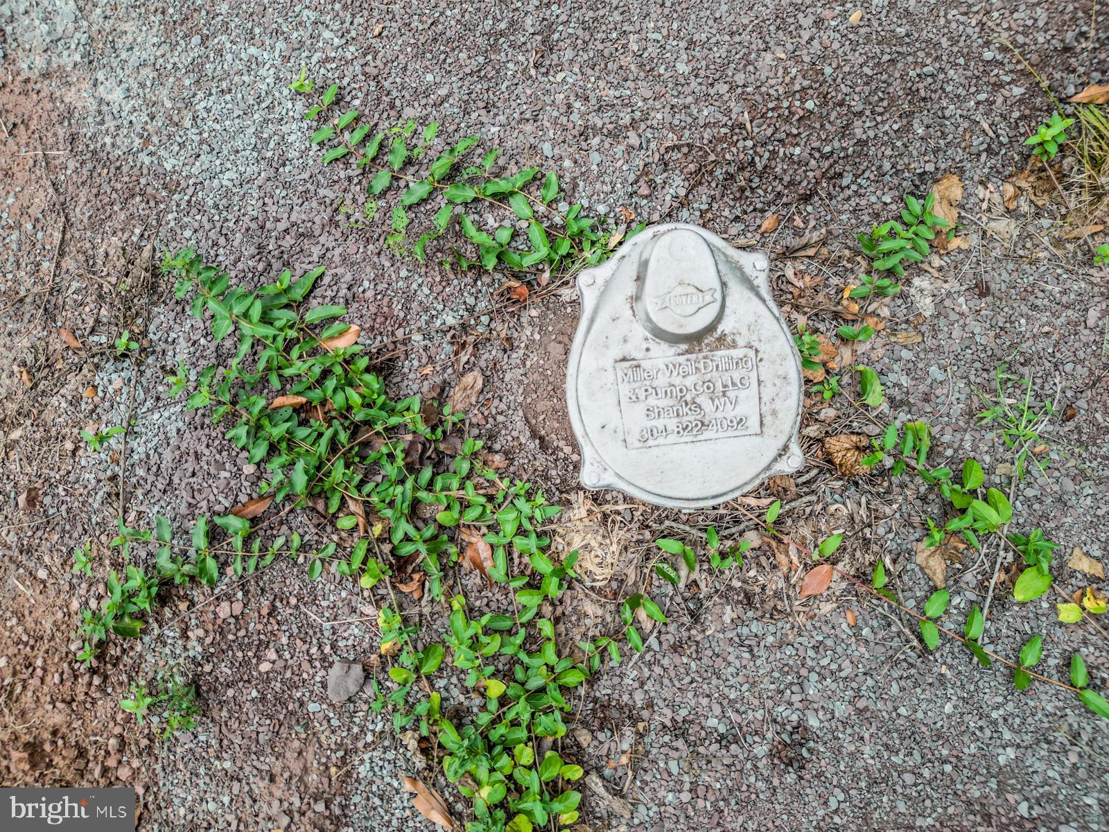 MILL MOUNTAIN ORCHARD - Land