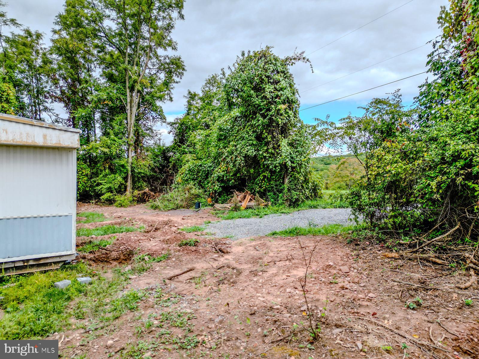 MILL MOUNTAIN ORCHARD - Land