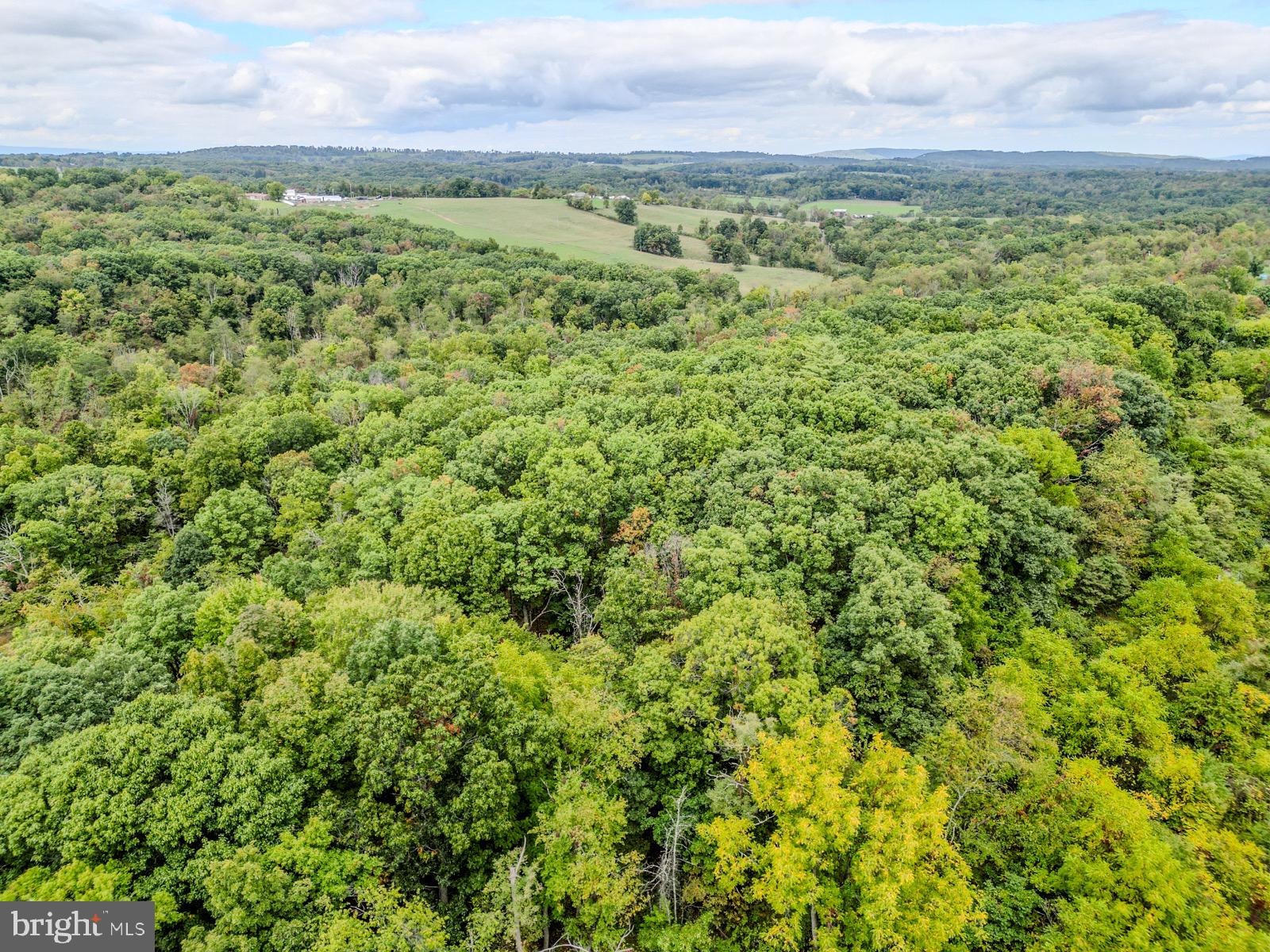 MILL MOUNTAIN ORCHARD - Land