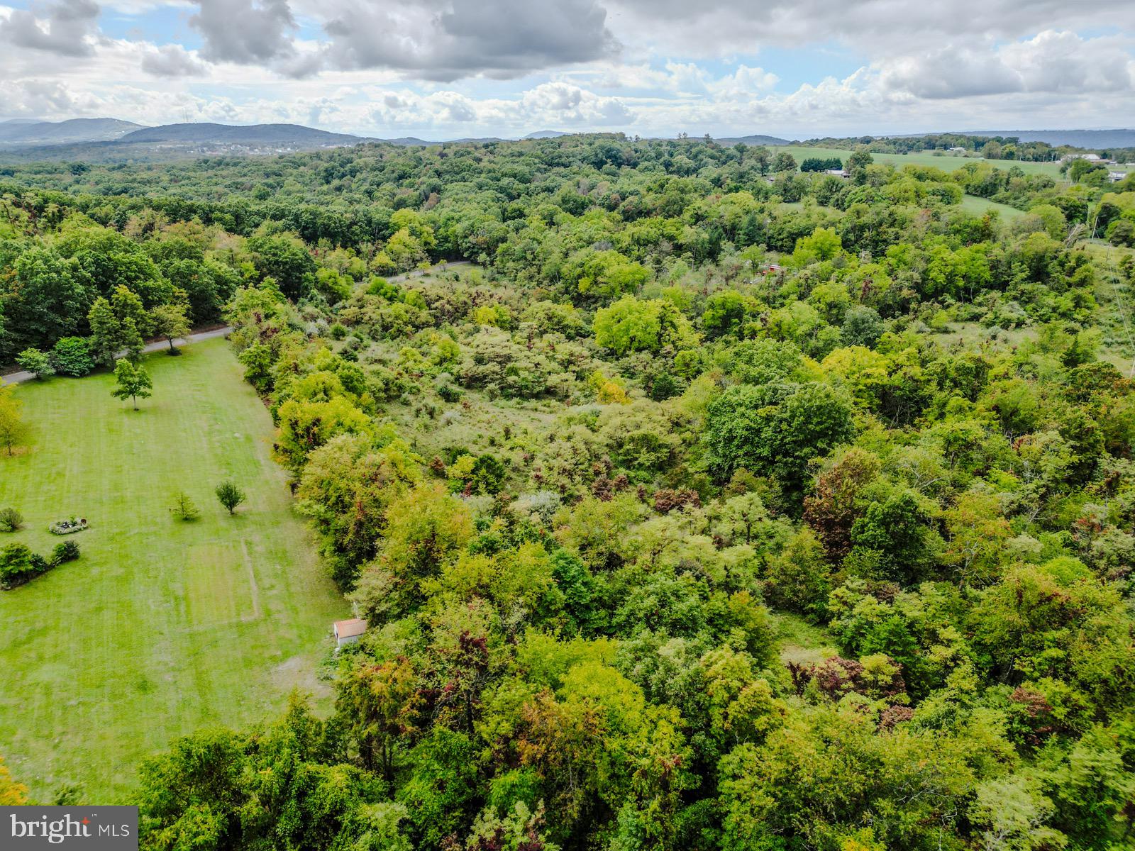 MILL MOUNTAIN ORCHARD - Land