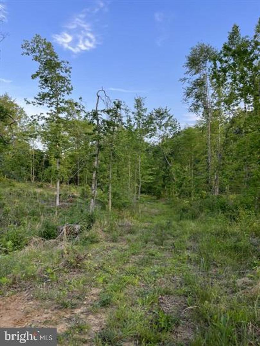63 acres of land for sale! 3- 21 acre parcels combined to make 63 acres!  Creek and some flood zone  please see flood plain o relay for more information
