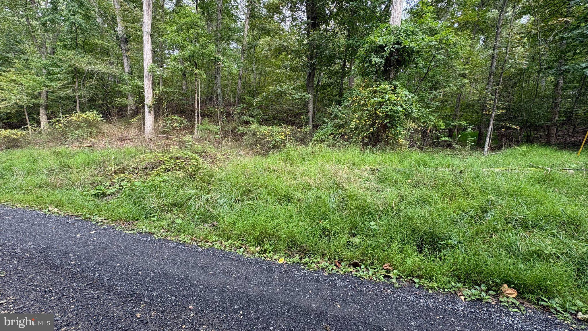 Lot 607 MCILWEE COURT