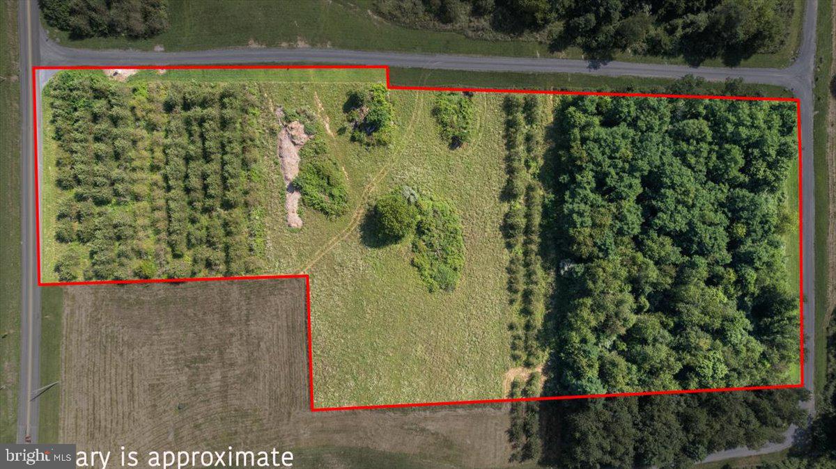 Beautiful lot in a small neighborhood on the very desirable west side of Winchester off Cedar Creek Grade! Lot is already perked for an alternative septic system. This opportunity doesn’t come along often! Rolling hills with beautiful surroundings and views. The location is less than 10 minutes to grocery stores, downtown Winchester, or Winchester Medical Center. It’s also located within 2 miles of Marker Miller Farmer’s market. Foreman Homes is the preferred builder! Please ask the listing agent for an introduction.