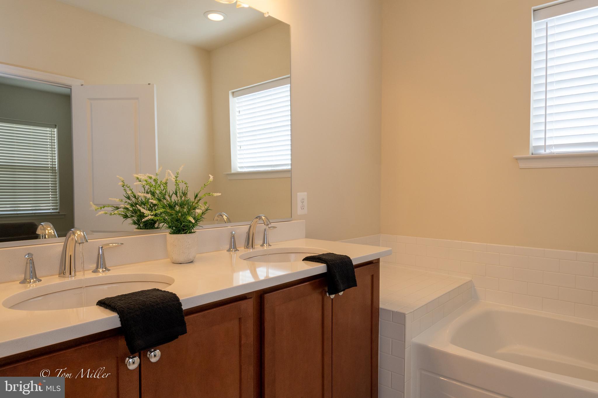 TOWSON GREEN - Residential