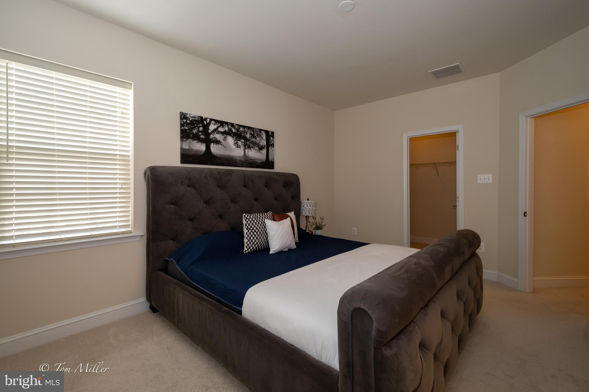 TOWSON GREEN - Residential