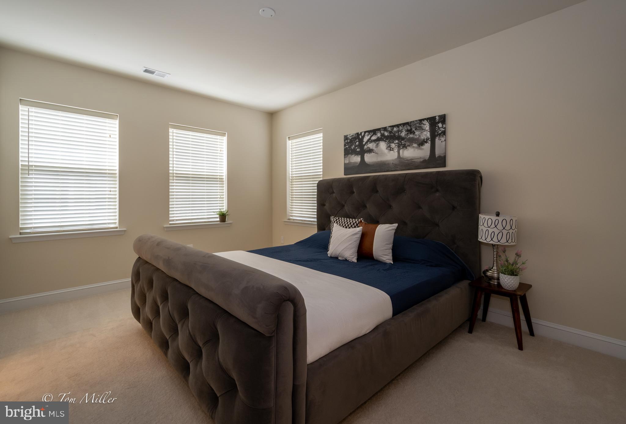 TOWSON GREEN - Residential