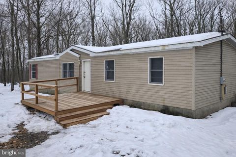 Mobile Home For Sale - 333 E Whiteface Circle<br/> ZION GROVE, PA 17985