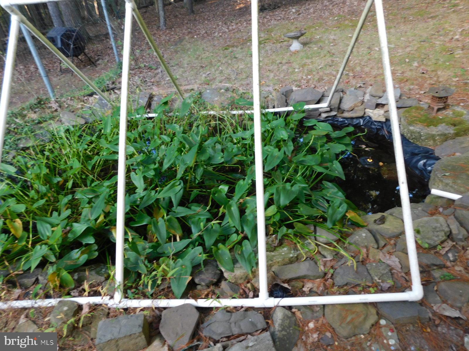 CABINS AT LOST RIVER - Residential