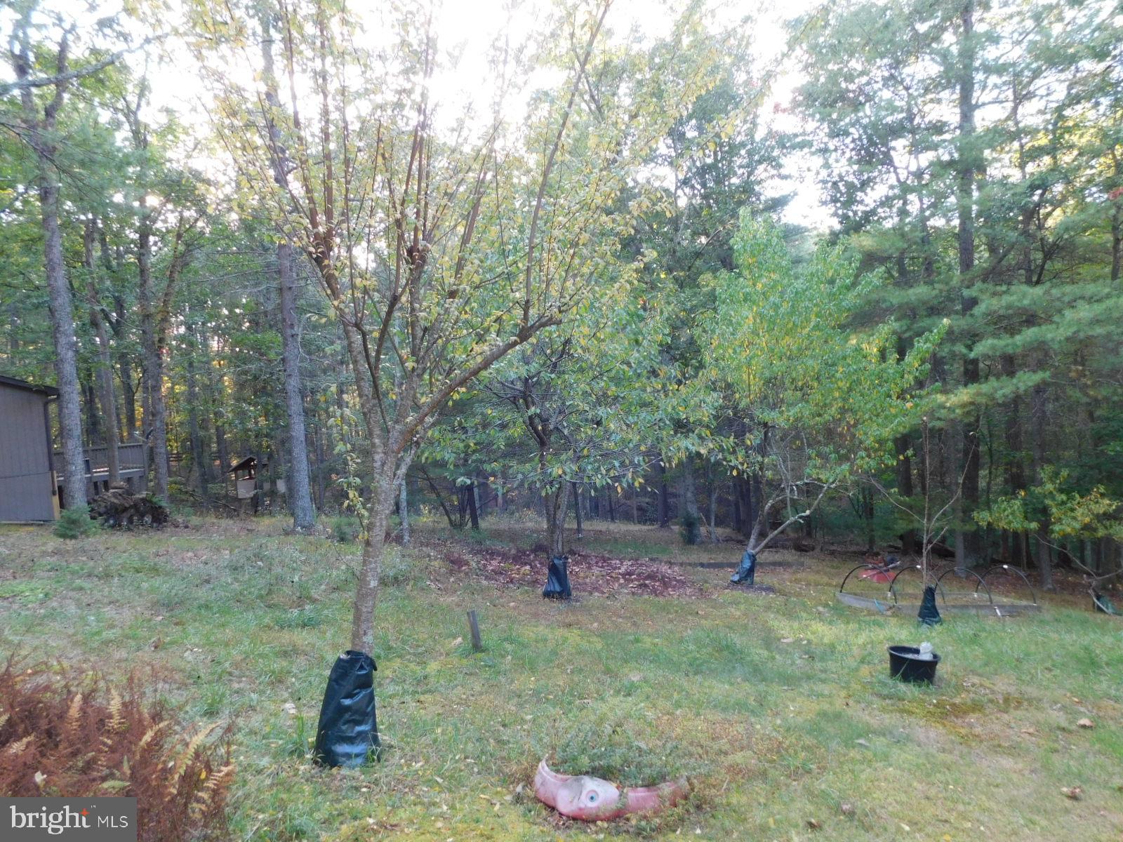 CABINS AT LOST RIVER - Residential