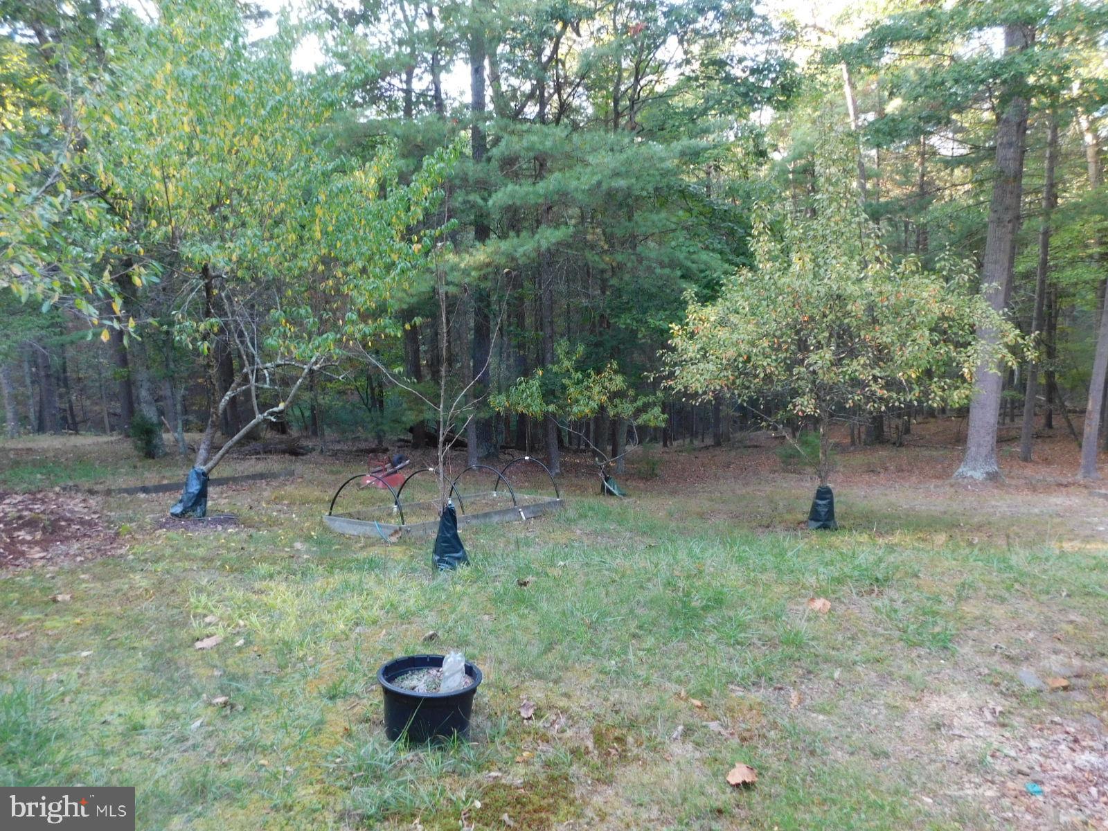 CABINS AT LOST RIVER - Residential