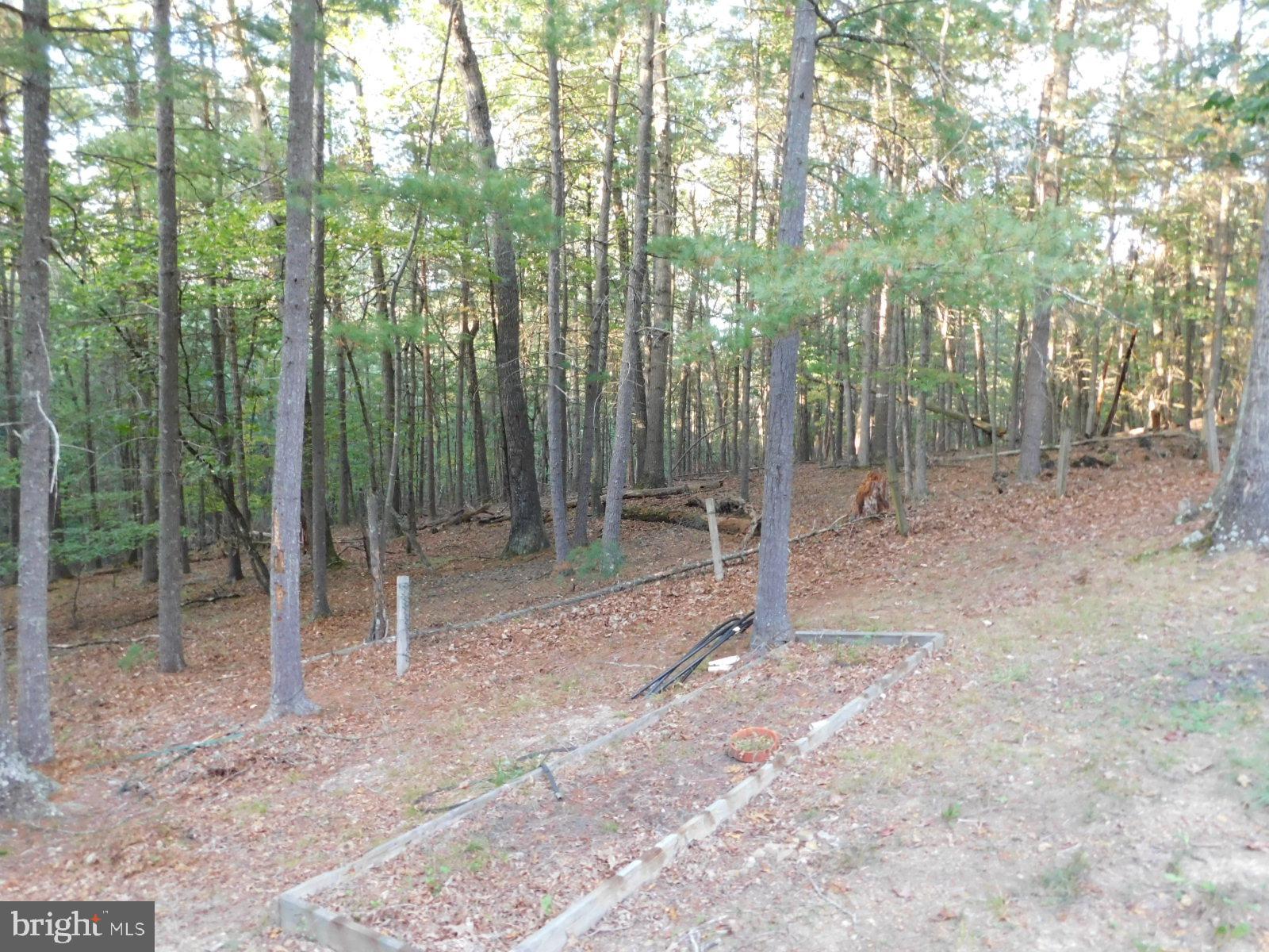 CABINS AT LOST RIVER - Residential