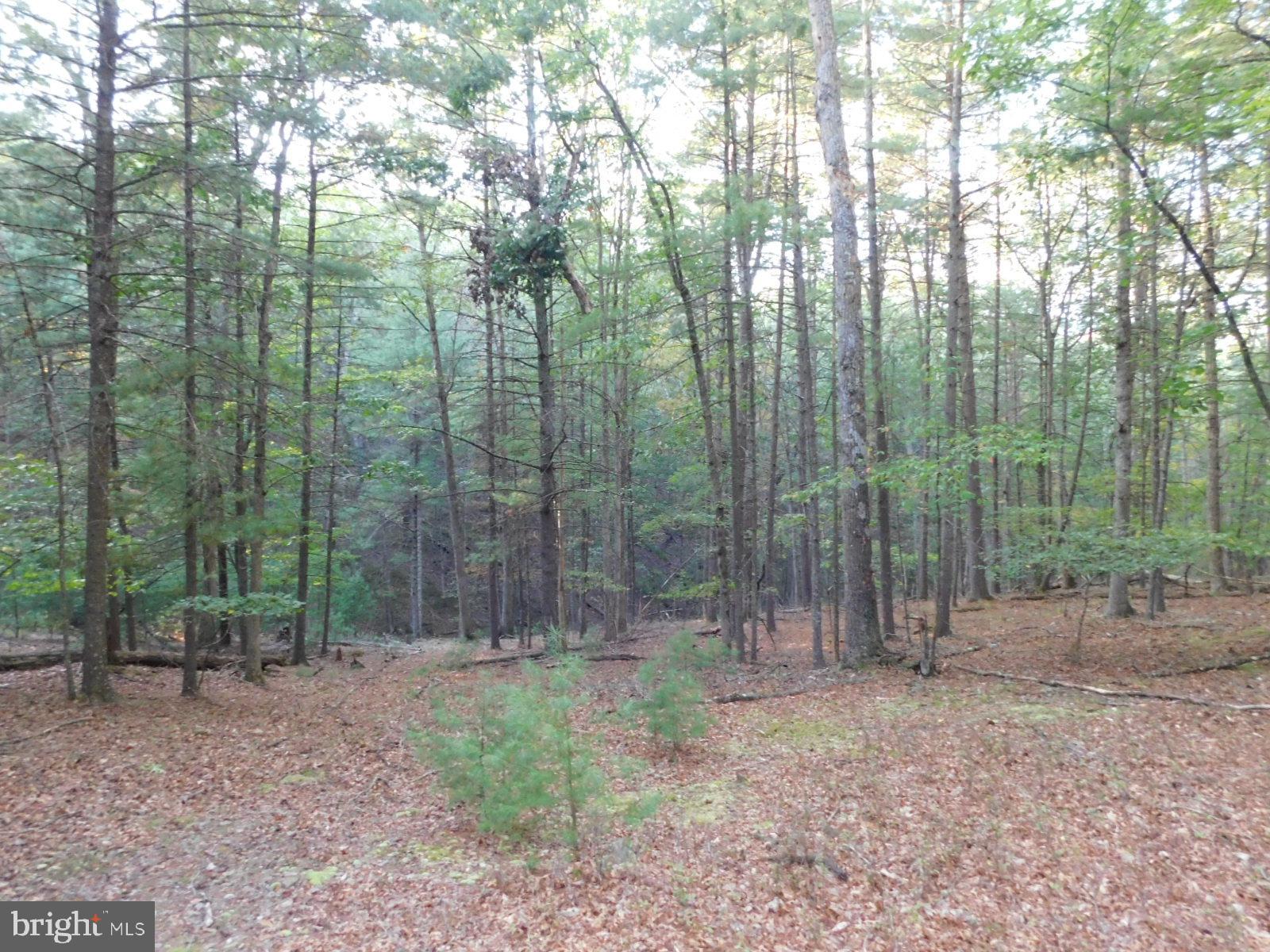CABINS AT LOST RIVER - Residential
