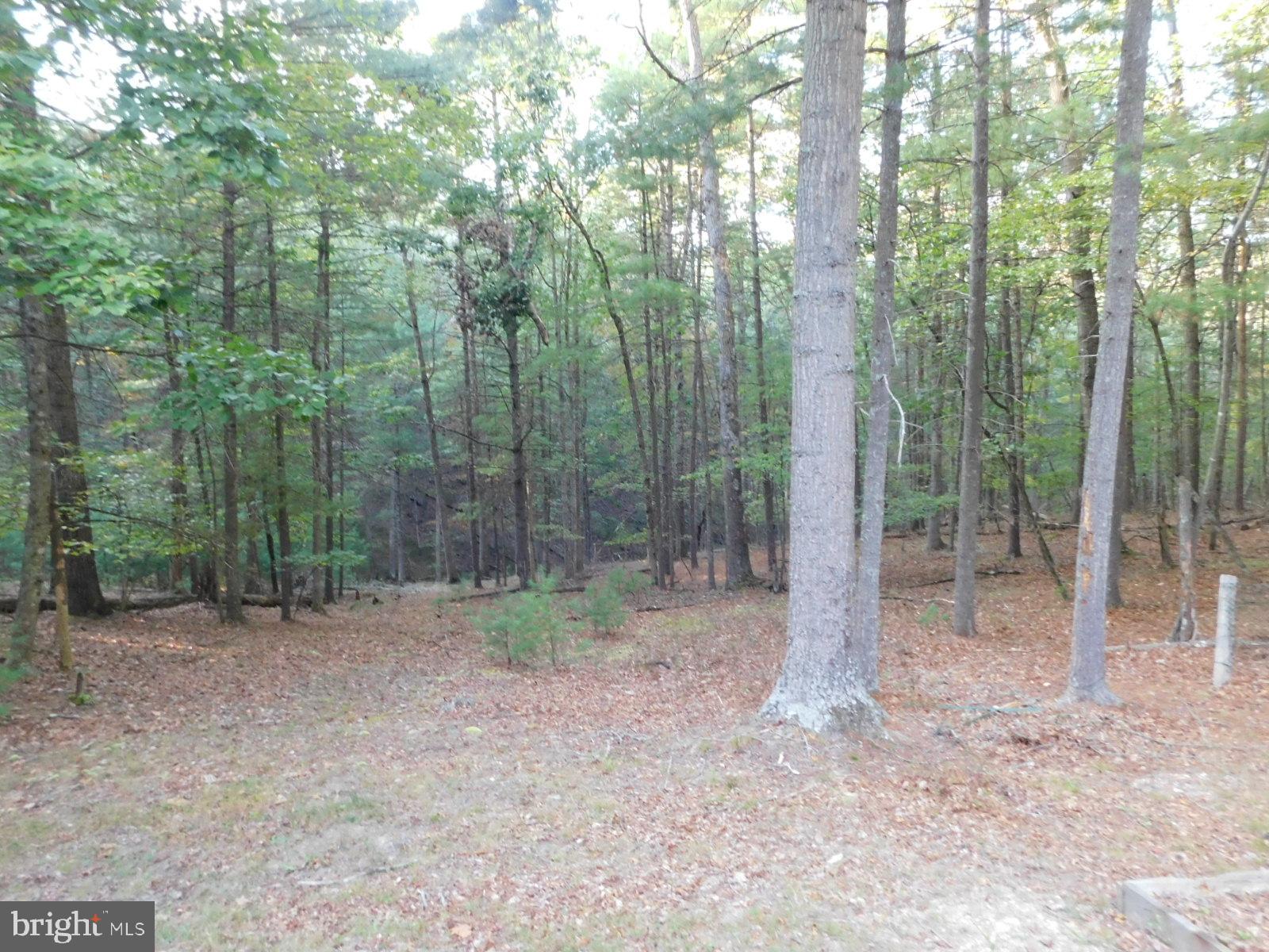 CABINS AT LOST RIVER - Residential