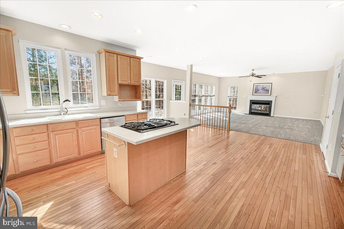 WOODS AT TAMA - Residential