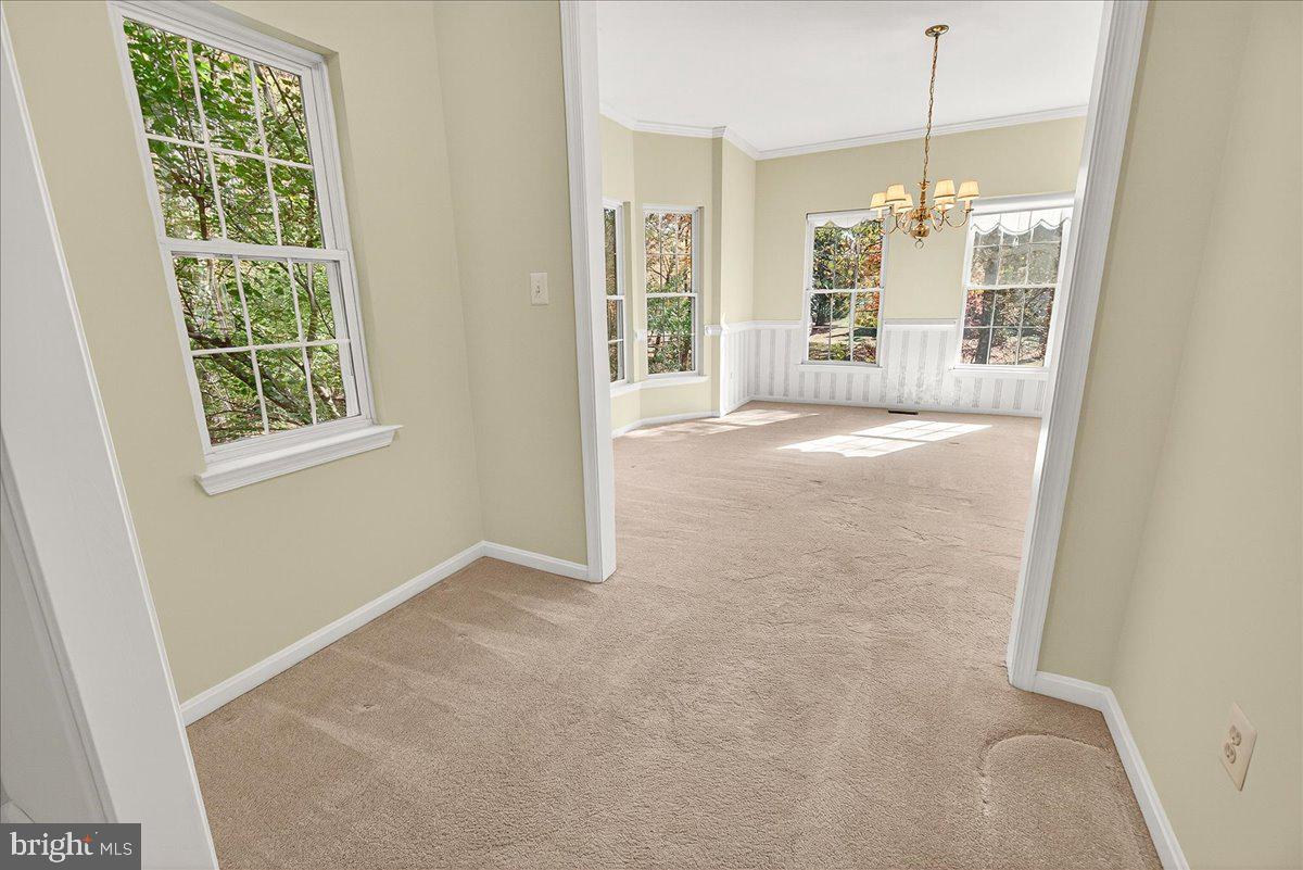 WOODS AT TAMA - Residential