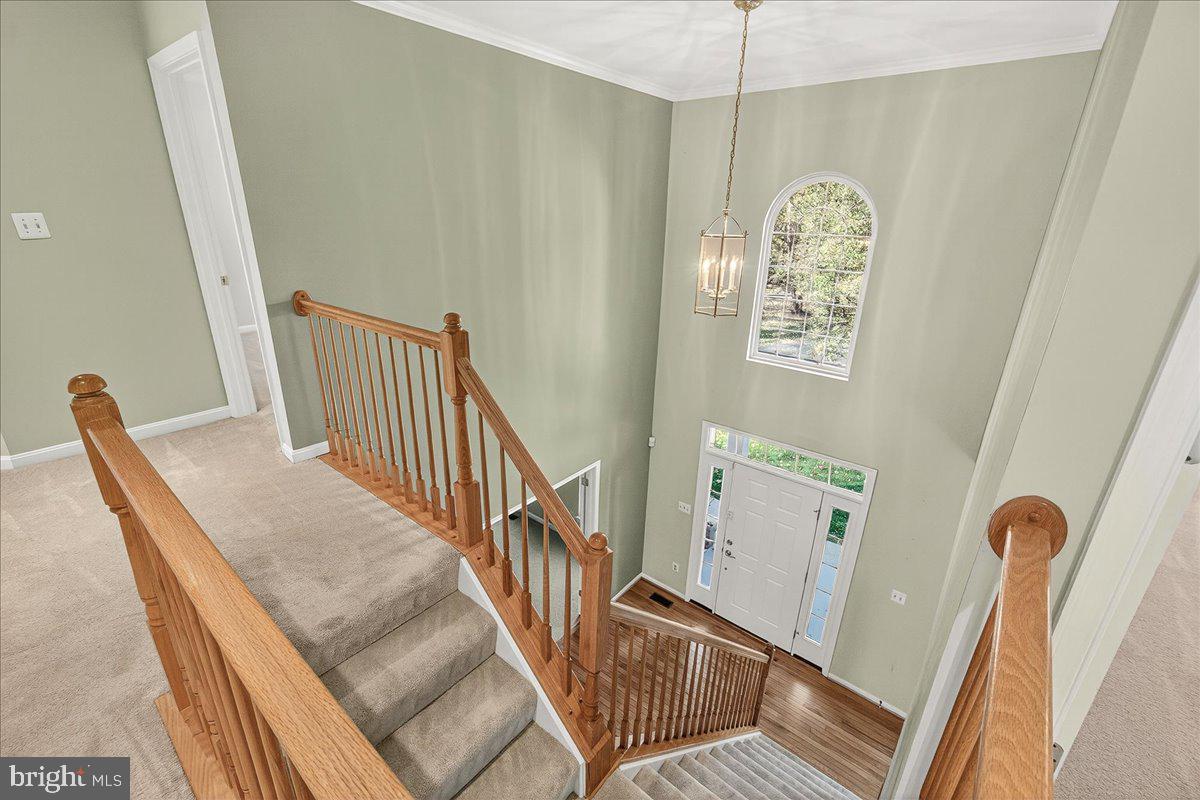 WOODS AT TAMA - Residential