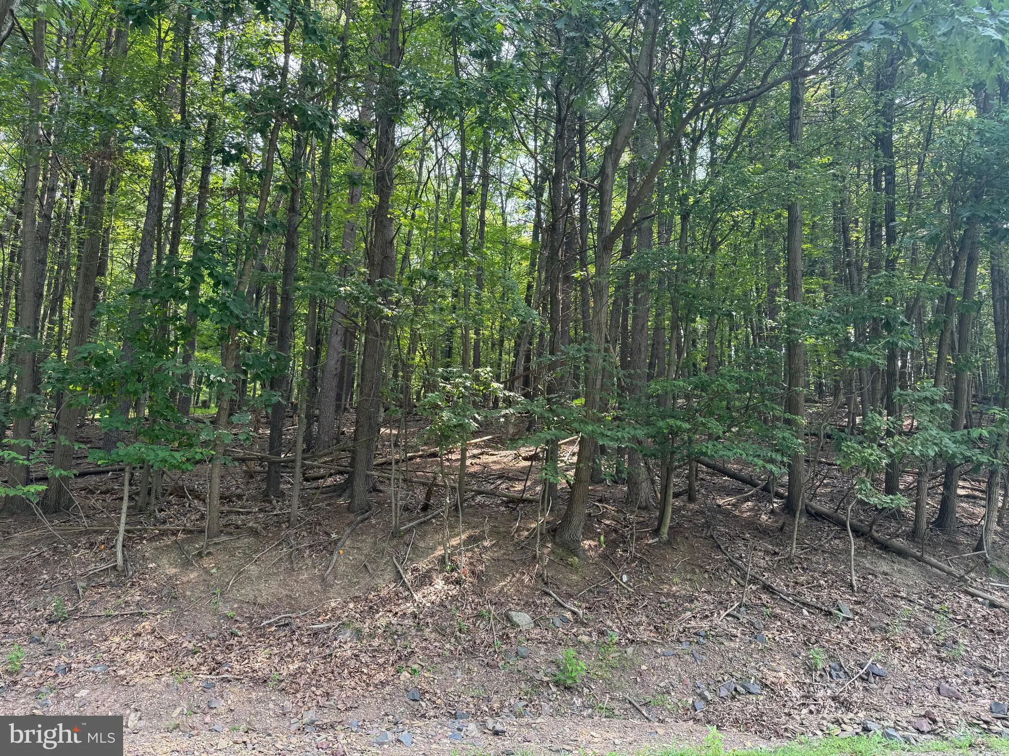 Auburn, Pennsylvania 17922, United States, ,Land,Active,188248