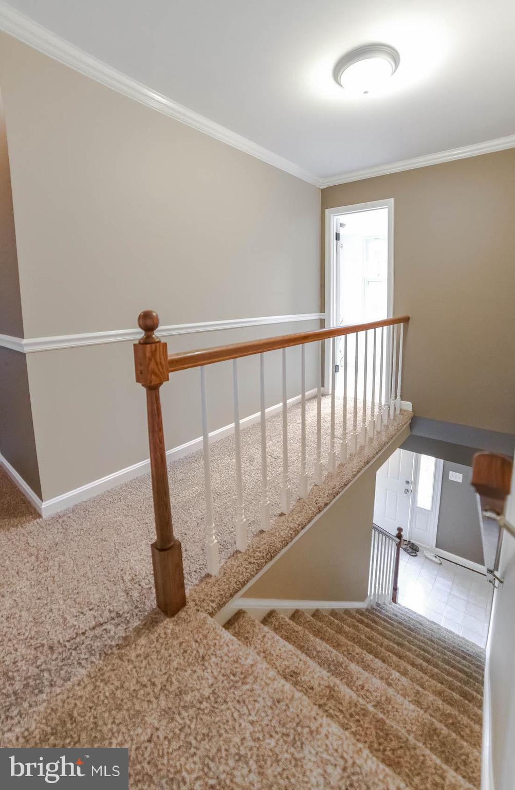 CABIN BRANCH ACRES - Residential