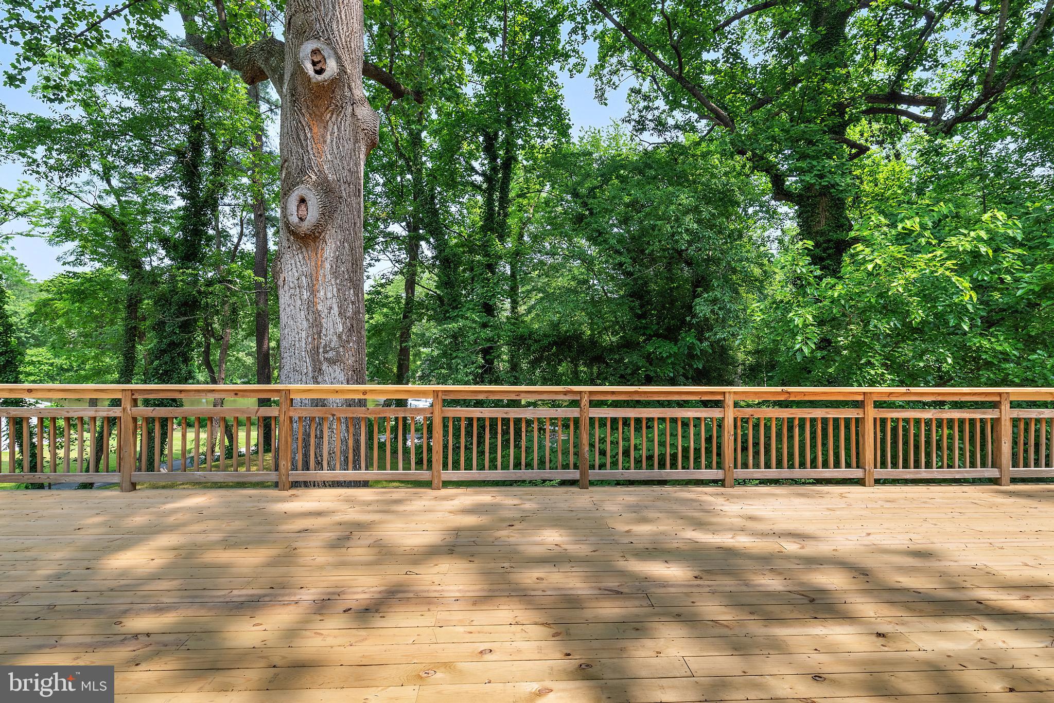 ARUNDEL PLAZA - Residential Lease