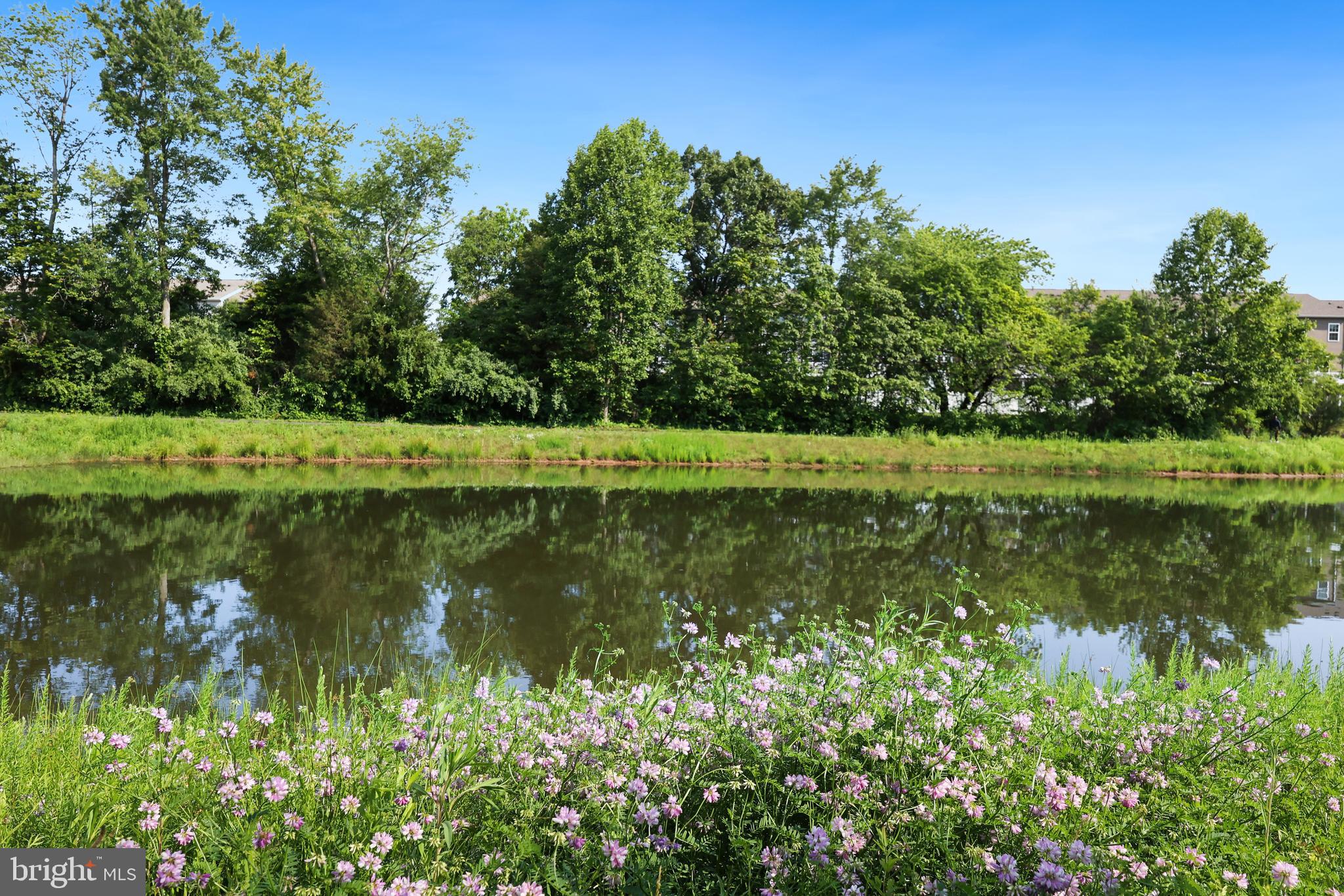 BRADLEY SQUARE - Residential