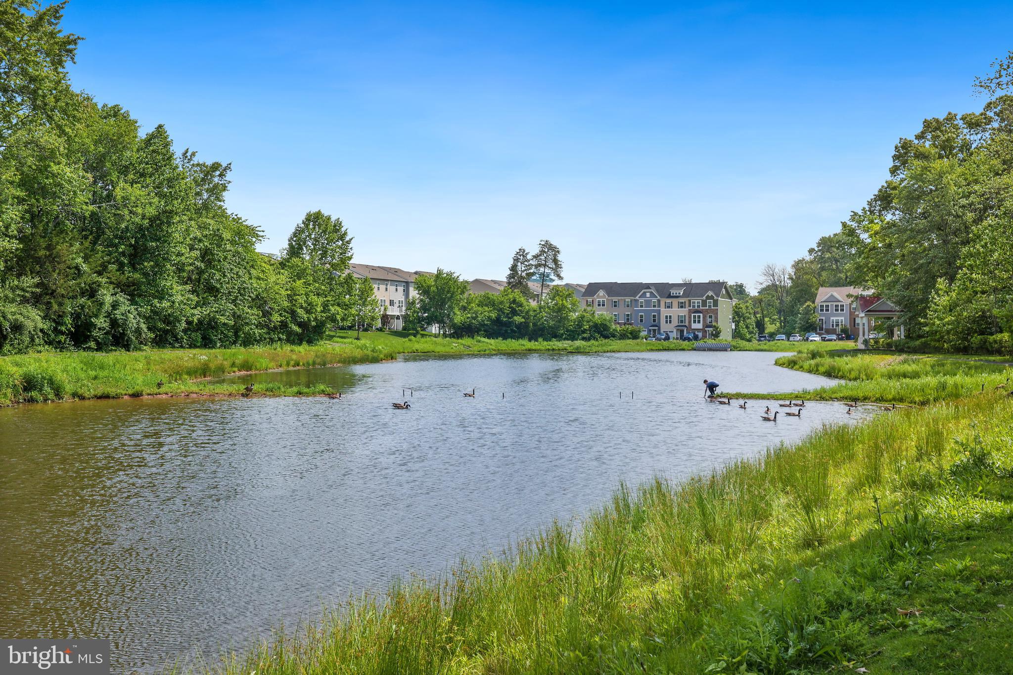 BRADLEY SQUARE - Residential