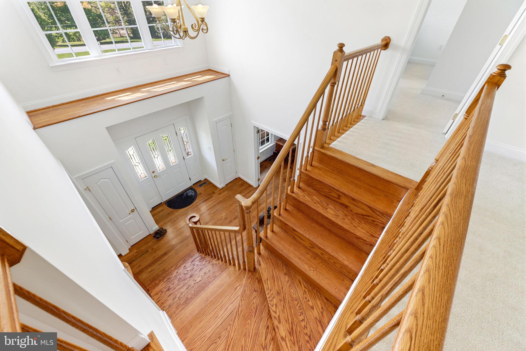CHINQUAPIN HILL - Residential