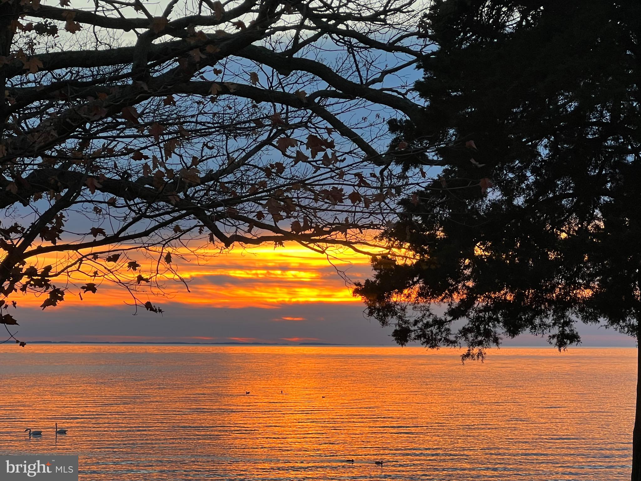 MASONS BEACH - Residential