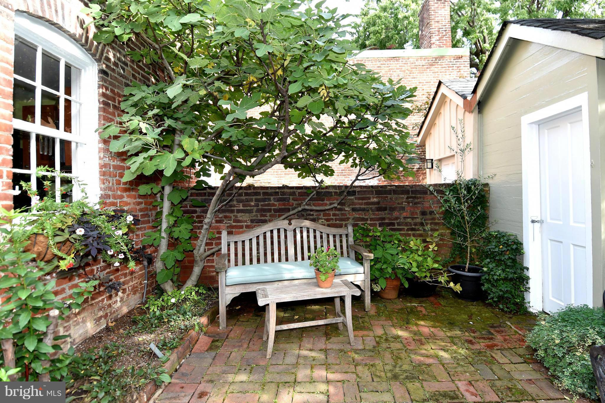 OLD TOWN ALEXANDRIA - Residential